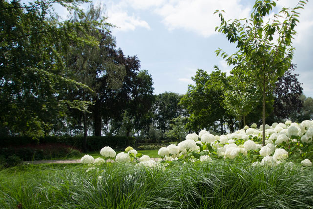 De-Lingebrug-hoveniers-Tuinonderhoud